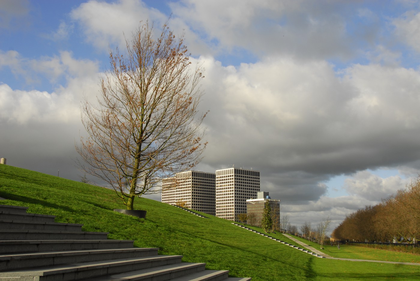 Dakpark buro sant en co