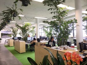 buro-sant-en-co-landschapsarchitectuur-den-haag-bink36