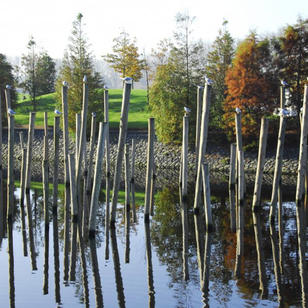 buro-sant-en-co-landschapsarchitectuur-park-schinkeleilanden-amsterdam-stadspark-stadsnatuur-ecologie-houten-palen-waterfront-herfst