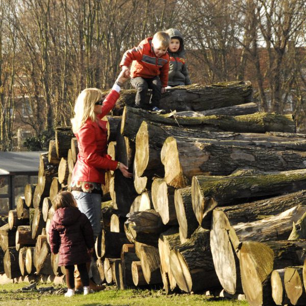 buro-sant-en-co-landschapsarchitectuur-park-schinkeleilanden-amsterdam-stadspark-stadsnatuur-ecologie-houten-stammen-natuurlijke-speeltuin