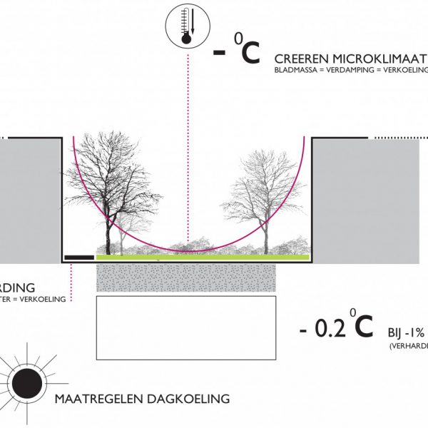buro-sant-en-co-landschapsarchitectuur-van leeuwenhoekpark-delft-stadspark-dakpark-klimaatadaptief-ecologie-hittestress-dagkoeling
