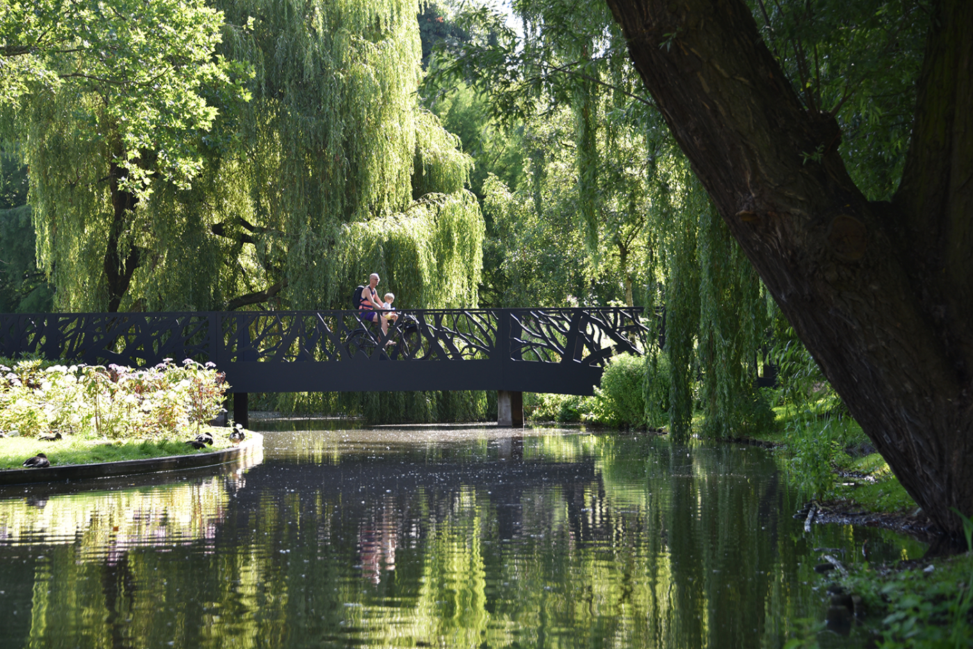 oosterpark-amsterdam-burosantenco-park-renovatie-landschapsarchitectuur-klimaatadaptief-biodiversiteit-stadspark-parkbrug-takkenbrug