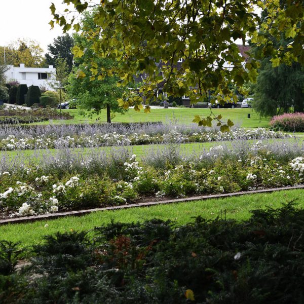 buro-sant-en-co-stadspark-sittard-renovatie-beplanting