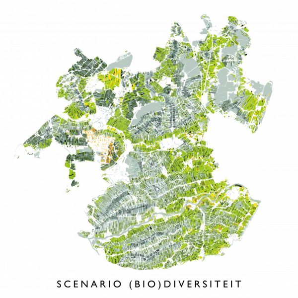 buro-sant-en-co-landschapsarchitectuur-groene-hart-bodemdaling-watersysteem-landgebruik-veenweide-scenario-biodiversiteit