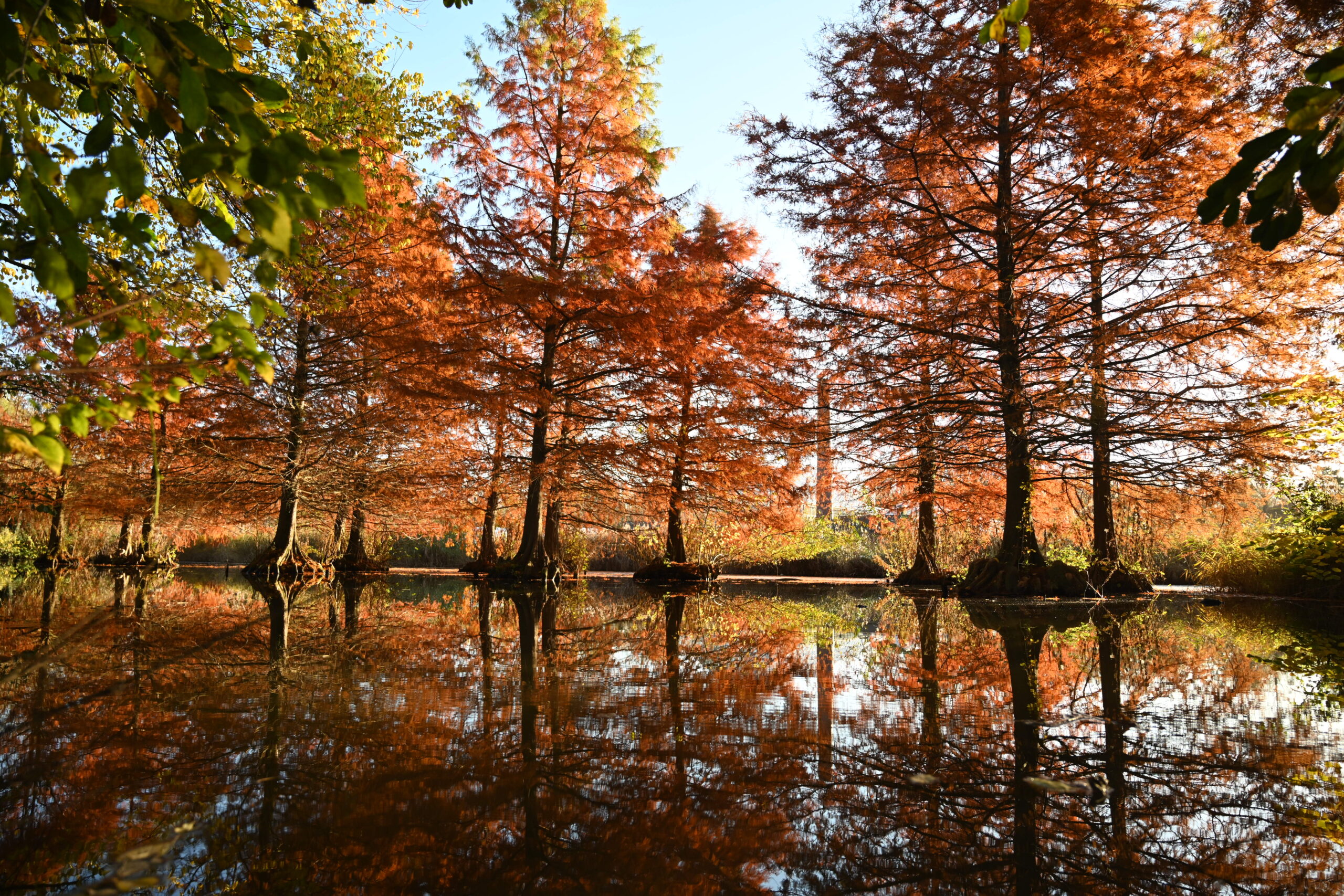 Park Frankendael