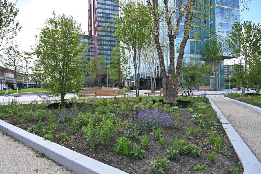 buro-sant-en-co-landschapsarchitect-almere-stationsgebied-station-plein-klimaatadaptatie-hittestress-groen-waterbuffer-rainproof-verblijfskwaliteit-05