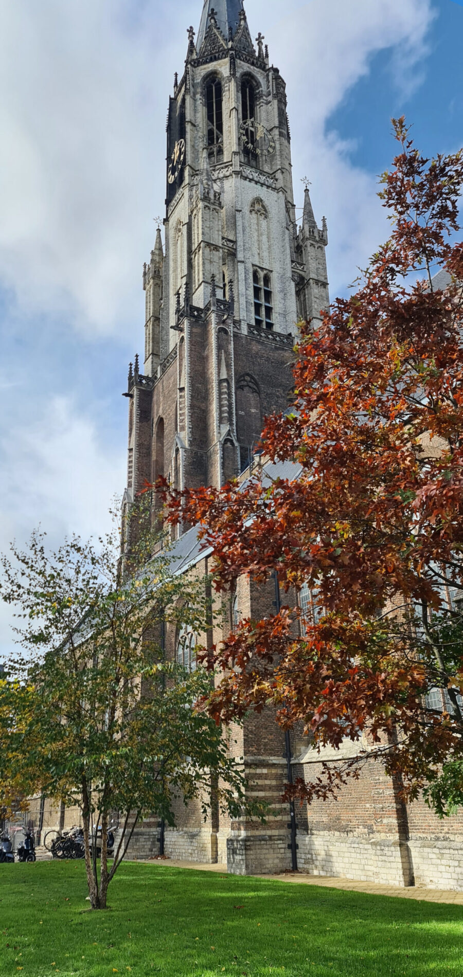 sant-en-co-landschapsarchitectuur-kerktuin-nieuwekerk-delft-herfst bomen